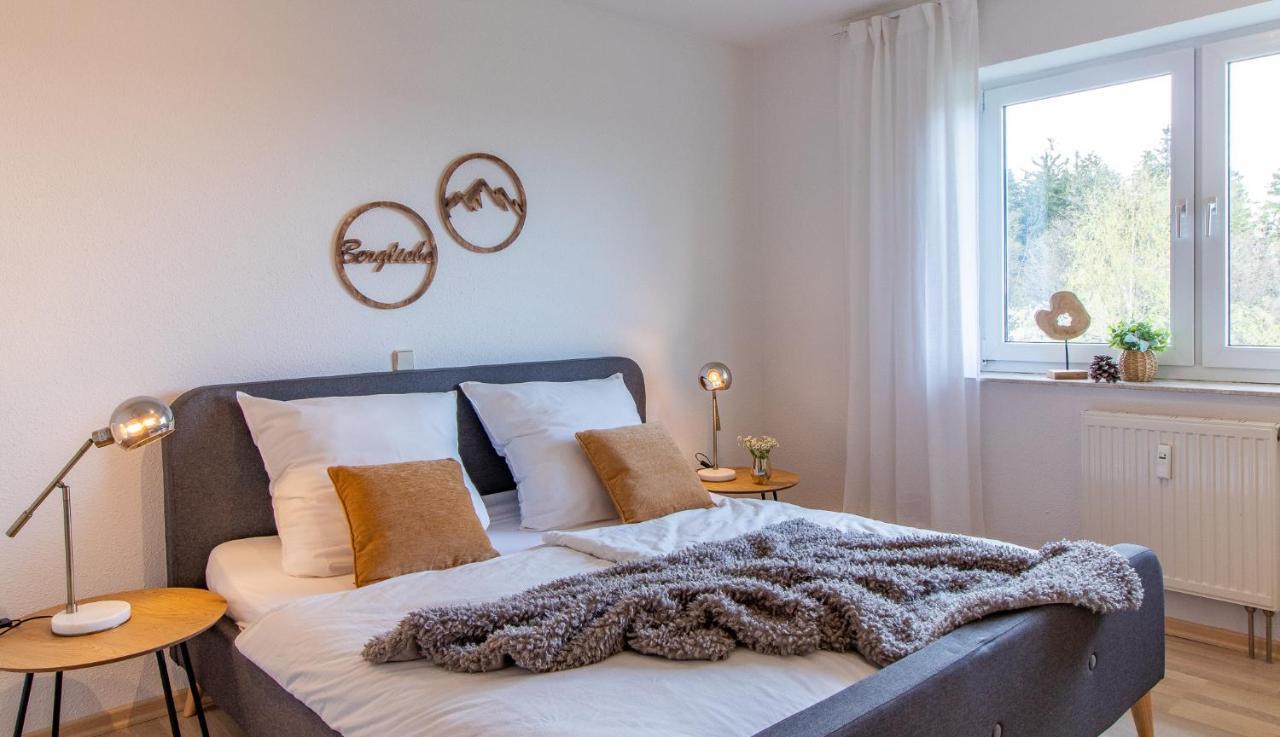 Apartment Bergwiese I Balkon I Aufzug I Stellplatz Schwarzenberg  Luaran gambar